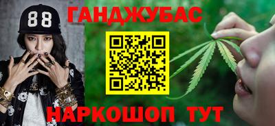 спиды Гагарин