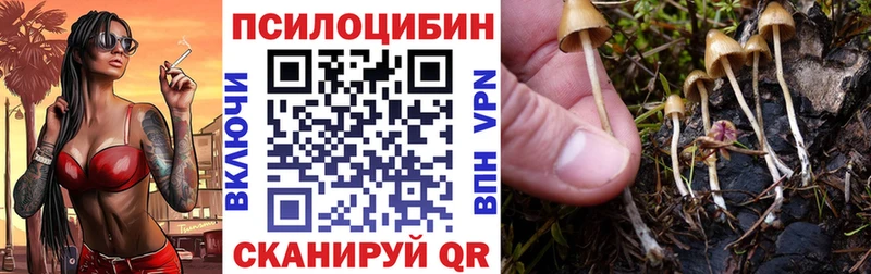 купить закладку  Бузулук  KRAKEN маркетплейс  Галлюциногенные грибы Magic Shrooms 