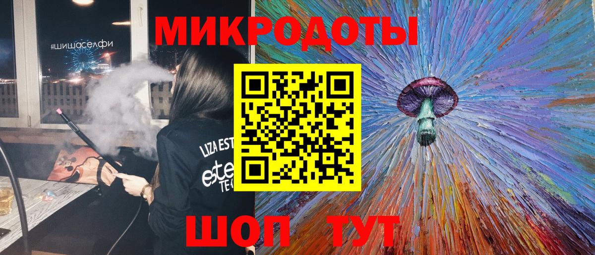 Галлюциногенные грибы Psilocybe Бузулук