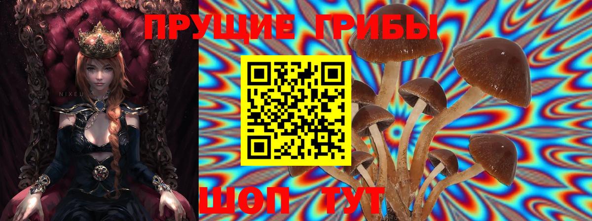 Галлюциногенные грибы MAGIC MUSHROOMS Бузулук