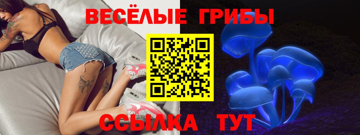 Псилоцибиновые грибы прущие грибы  Псилоцибиновые грибы прущие грибы  Вход с VPN  Бузулук 