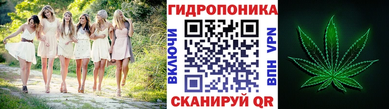 Бошки Шишки планчик  mega ONION  Бузулук  закладки 